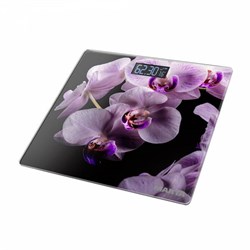Весы Marta МТ-1676 орхидея - фото 18252