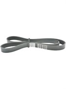 Ремень поликлиновой Febest 88127-5L1113