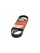 Ремень поликлиновый Gates 6PK1010