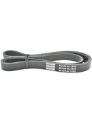 Ремень поликлиновой Febest 88128-6L1555