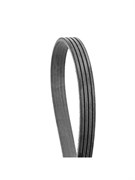 Ремень поликлиновой Carberry 4PK813