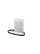Ремень поликлиновый LYNXauto 6PK0842EL
