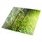 Весы Lumme LU-1328 сенсор Бамбуковый лес - фото 14895