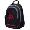 Рюкзак подростковый Berlingo "Active. Access" 41х30х17 см, 2 отделения, уплотненная спинка, RU05813 - фото 22855